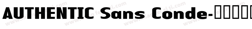 AUTHENTIC Sans Conde字体转换
